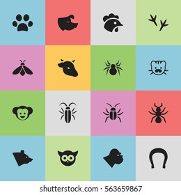 Set Of 16 Editable Zoo Icons. Includes Symbols Such As Talisman, Bug, Footprint And More. Can Be Used For Web, Mobile, UI And Infographic Design.