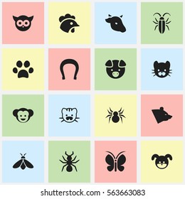 Set Of 16 Editable Zoo Icons. Includes Symbols Such As Moth, Forepaw, Baboon And More. Can Be Used For Web, Mobile, UI And Infographic Design.