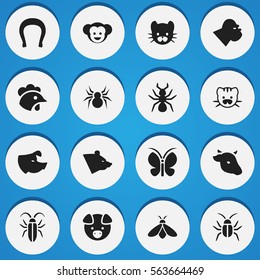 Set Of 16 Editable Zoo Icons. Includes Symbols Such As Sow, Bull, Baboon And More. Can Be Used For Web, Mobile, UI And Infographic Design.