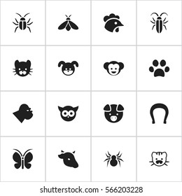 Set Of 16 Editable Zoo Icons. Includes Symbols Such As Arachind, Moth, Chimpanzee And More. Can Be Used For Web, Mobile, UI And Infographic Design.