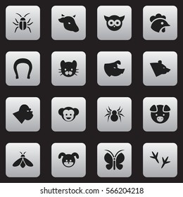 Set Of 16 Editable Zoo Icons. Includes Symbols Such As Moth, Rooster, Hog And More. Can Be Used For Web, Mobile, UI And Infographic Design.