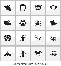 Set Of 16 Editable Zoo Icons. Includes Symbols Such As Honey, Bug, Bedbug And More. Can Be Used For Web, Mobile, UI And Infographic Design.
