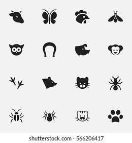 Set Of 16 Editable Zoo Icons. Includes Symbols Such As Moth, Footprint, Sow And More. Can Be Used For Web, Mobile, UI And Infographic Design.