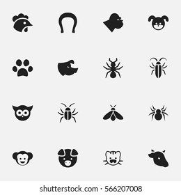 Set Of 16 Editable Zoo Icons. Includes Symbols Such As Arachind, Forepaw, Honey And More. Can Be Used For Web, Mobile, UI And Infographic Design.