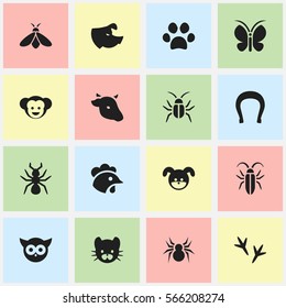 Set Of 16 Editable Zoo Icons. Includes Symbols Such As Bedbug, Moth, Feline And More. Can Be Used For Web, Mobile, UI And Infographic Design.