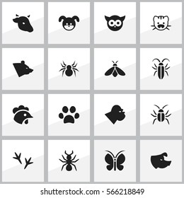 Set Of 16 Editable Zoo Icons. Includes Symbols Such As Chimpanzee, Moth, Cockroach And More. Can Be Used For Web, Mobile, UI And Infographic Design.