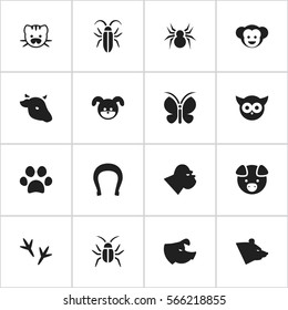 Set Of 16 Editable Zoo Icons. Includes Symbols Such As Grizzly, Baboon, Talisman And More. Can Be Used For Web, Mobile, UI And Infographic Design.