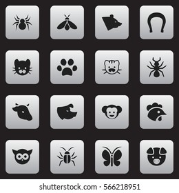 Set Of 16 Editable Zoo Icons. Includes Symbols Such As Honey, Baboon, Hog And More. Can Be Used For Web, Mobile, UI And Infographic Design.