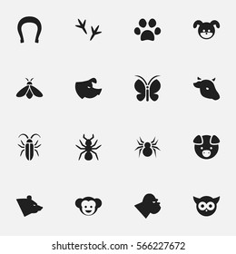 Set Of 16 Editable Zoo Icons. Includes Symbols Such As Honey, Baboon, Bedbug And More. Can Be Used For Web, Mobile, UI And Infographic Design.
