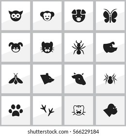 Set Of 16 Editable Zoo Icons. Includes Symbols Such As Arachind, Puppy, Forepaw And More. Can Be Used For Web, Mobile, UI And Infographic Design.