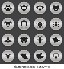 Set Of 16 Editable Zoo Icons. Includes Symbols Such As Puppy, Forepaw, Sow And More. Can Be Used For Web, Mobile, UI And Infographic Design.