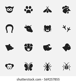 Set Of 16 Editable Zoo Icons. Includes Symbols Such As Baboon, Bedbug, Sow And More. Can Be Used For Web, Mobile, UI And Infographic Design.