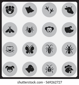 Set Of 16 Editable Zoo Icons. Includes Symbols Such As Cockroach, Arachind, Hog And More. Can Be Used For Web, Mobile, UI And Infographic Design.