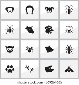 Set Of 16 Editable Zoo Icons. Includes Symbols Such As Talisman, Arachind, Bug And More. Can Be Used For Web, Mobile, UI And Infographic Design.