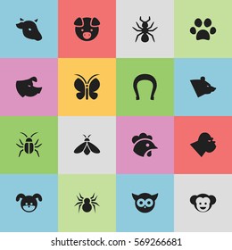 Set Of 16 Editable Zoo Icons. Includes Symbols Such As Talisman, Bird, Arachind And More. Can Be Used For Web, Mobile, UI And Infographic Design.