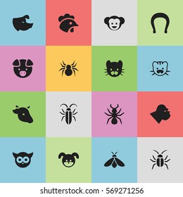 Set Of 16 Editable Zoo Icons. Includes Symbols Such As Feline, Bird, Puppy And More. Can Be Used For Web, Mobile, UI And Infographic Design.