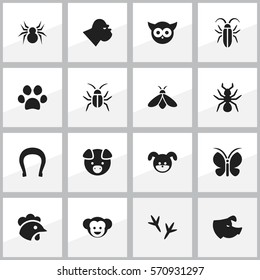 Set Of 16 Editable Zoo Icons. Includes Symbols Such As Footprint, Puppy, Cockroach And More. Can Be Used For Web, Mobile, UI And Infographic Design.