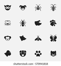 Set Of 16 Editable Zoo Icons. Includes Symbols Such As Hog, Forepaw, Bird And More. Can Be Used For Web, Mobile, UI And Infographic Design.
