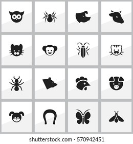 Set Of 16 Editable Zoo Icons. Includes Symbols Such As Sow, Moth, Bull And More. Can Be Used For Web, Mobile, UI And Infographic Design.