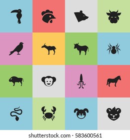 Set Of 16 Editable Zoo Icons. Includes Symbols Such As Grizzly, Stallion, Tropical Bird And More. Can Be Used For Web, Mobile, UI And Infographic Design.