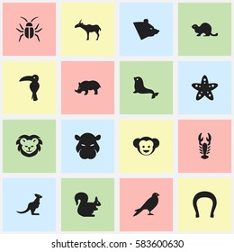 Set Of 16 Editable Zoo Icons. Includes Symbols Such As Crawfish, Rhino, Gazelle And More. Can Be Used For Web, Mobile, UI And Infographic Design.