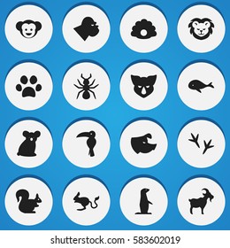 Set Of 16 Editable Zoo Icons. Includes Symbols Such As Bedbug, Tropical Bird, Wild Rodent And More. Can Be Used For Web, Mobile, UI And Infographic Design.
