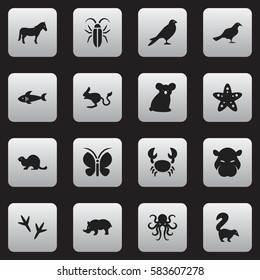 Set Of 16 Editable Zoo Icons. Includes Symbols Such As Moth, Shark, Skunk And More. Can Be Used For Web, Mobile, UI And Infographic Design.