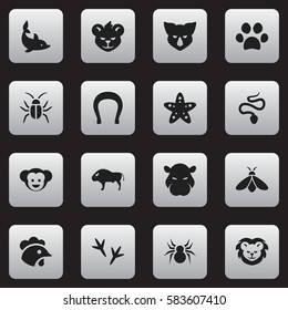 Set Of 16 Editable Zoo Icons. Includes Symbols Such As Bison, Arachind, Baboon And More. Can Be Used For Web, Mobile, UI And Infographic Design.