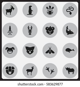 Set Of 16 Editable Zoo Icons. Includes Symbols Such As Livestock, Puppy, Honey And More. Can Be Used For Web, Mobile, UI And Infographic Design.
