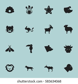 Set Of 16 Editable Zoo Icons. Includes Symbols Such As Feline, Dog, Honey And More. Can Be Used For Web, Mobile, UI And Infographic Design.
