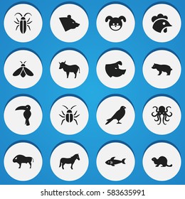 Set Of 16 Editable Zoo Icons. Includes Symbols Such As Eagle, Honey, Stallion And More. Can Be Used For Web, Mobile, UI And Infographic Design.