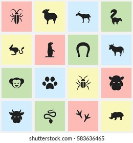 Set Of 16 Editable Zoo Icons. Includes Symbols Such As Bug, Kine, Rhino And More. Can Be Used For Web, Mobile, UI And Infographic Design.