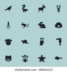 Set Of 16 Editable Zoo Icons. Includes Symbols Such As Bunny, Sea Star, Octopus And More. Can Be Used For Web, Mobile, UI And Infographic Design.