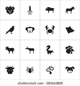 Set Of 16 Editable Zoo Icons. Includes Symbols Such As Eagle, Skunk, Rooster And More. Can Be Used For Web, Mobile, UI And Infographic Design.
