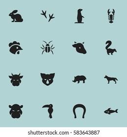 Set Of 16 Editable Zoo Icons. Includes Symbols Such As Cockroach, Dog, Bunny And More. Can Be Used For Web, Mobile, UI And Infographic Design.