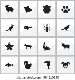 Set Of 16 Editable Zoo Icons. Includes Symbols Such As Cow, Ocean Blower, Wallaby And More. Can Be Used For Web, Mobile, UI And Infographic Design.