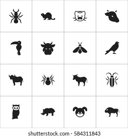 Set Of 16 Editable Zoo Icons. Includes Symbols Such As Puppy, Tropical Bird, Owl And More. Can Be Used For Web, Mobile, UI And Infographic Design.