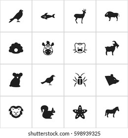 Set Of 16 Editable Zoo Icons. Includes Symbols Such As Australian Bear, Bison, Beast And More. Can Be Used For Web, Mobile, UI And Infographic Design.