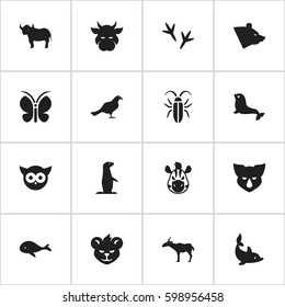 Set Of 16 Editable Zoo Icons. Includes Symbols Such As Playful Fish, Groundhog, Gazelle And More. Can Be Used For Web, Mobile, UI And Infographic Design.