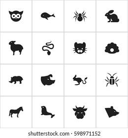 Set Of 16 Editable Zoo Icons. Includes Symbols Such As Feline, Arachind, Ocean Blower And More. Can Be Used For Web, Mobile, UI And Infographic Design.