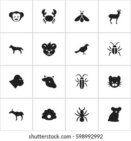 Set Of 16 Editable Zoo Icons. Includes Symbols Such As Bull, Honey, Dog And More. Can Be Used For Web, Mobile, UI And Infographic Design.