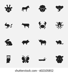 Set Of 16 Editable Zoo Icons. Includes Symbols Such As Hippopotamus, Ox, Proboscis And More. Can Be Used For Web, Mobile, UI And Infographic Design.