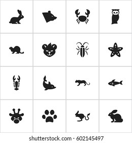 Set Of 16 Editable Zoo Icons. Includes Symbols Such As Sea Star, Tiger, Grizzly And More. Can Be Used For Web, Mobile, UI And Infographic Design.