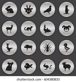 Set Of 16 Editable Zoo Icons. Includes Symbols Such As Turbot, Bison, Lamb And More. Can Be Used For Web, Mobile, UI And Infographic Design.