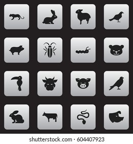 Set Of 16 Editable Zoo Icons. Includes Symbols Such As Rabbit, Lynx, Eagle And More. Can Be Used For Web, Mobile, UI And Infographic Design.