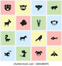 Set Of 16 Editable Zoo Icons. Includes Symbols Such As Hog, Baboon, Livestock And More. Can Be Used For Web, Mobile, UI And Infographic Design.