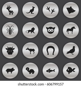 Set Of 16 Editable Zoo Icons. Includes Symbols Such As Pigeon, Talisman, Night Fowl And More. Can Be Used For Web, Mobile, UI And Infographic Design.