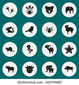 Set Of 16 Editable Zoo Icons. Includes Symbols Such As Ox, Footprint, Rat And More. Can Be Used For Web, Mobile, UI And Infographic Design.