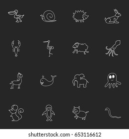 Set Of 16 Editable Zoo Icons. Includes Symbols Such As Tentacle, Polar Bird, Swine And More. Can Be Used For Web, Mobile, UI And Infographic Design.