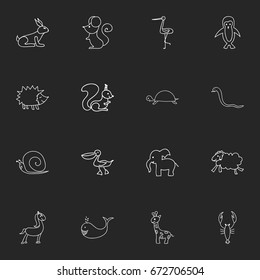 Set Of 16 Editable Zoo Icons. Includes Symbols Such As Rat, Pelican, Slug And More. Can Be Used For Web, Mobile, UI And Infographic Design.